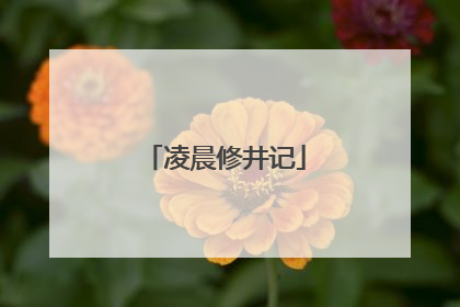凌晨修井记