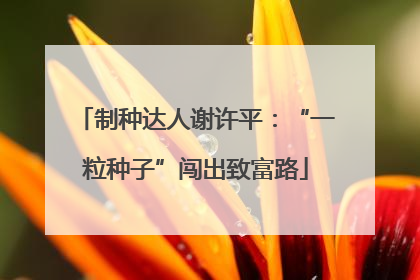 制种达人谢许平：“一粒种子”闯出致富路