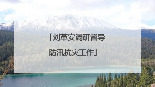 刘革安调研督导防汛抗灾工作