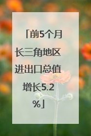 前5个月长三角地区进出口总值增长5.2%