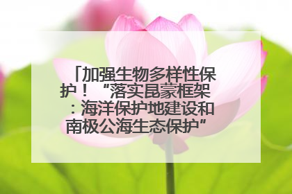 加强生物多样性保护！“落实昆蒙框架：海洋保护地建设和南极公海生态保护”主题论坛将举办