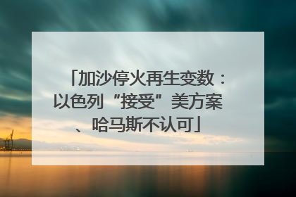 加沙停火再生变数：以色列“接受”美方案、哈马斯不认可