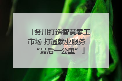 务川打造智慧零工市场 打通就业服务“最后一公里”