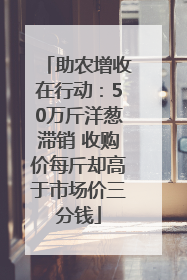 助农增收在行动：50万斤洋葱滞销 收购价每斤却高于市场价三分钱