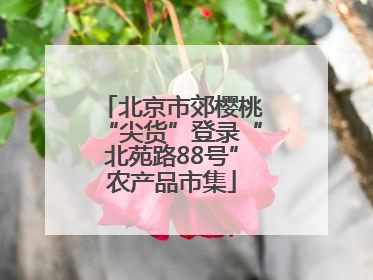 北京市郊樱桃“尖货”登录“北苑路88号”农产品市集