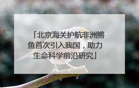 北京海关护航非洲鳉鱼首次引入我国，助力生命科学前沿研究