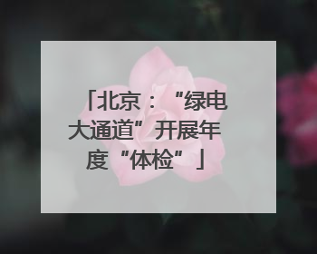 北京：“绿电大通道”开展年度“体检”