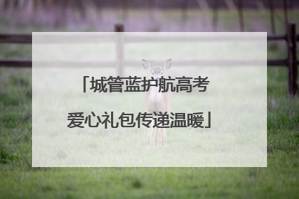 城管蓝护航高考 爱心礼包传递温暖