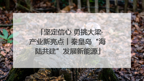 坚定信心 勇挑大梁·产业新亮点丨秦皇岛“海陆共建”发展新能源