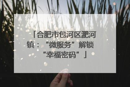 合肥市包河区淝河镇：“微服务”解锁“幸福密码”