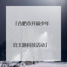 合肥市开展少年宫主题科技活动