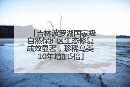 吉林波罗湖国家级自然保护区生态修复成效显著，珍稀鸟类10年增加5倍