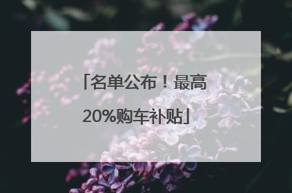 名单公布！最高20%购车补贴