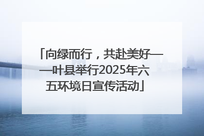 向绿而行，共赴美好——叶县举行2025年六五环境日宣传活动