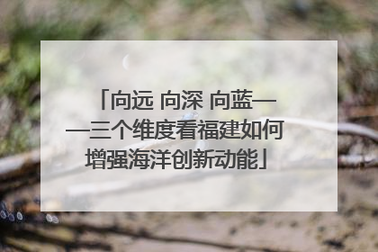 向远 向深 向蓝——三个维度看福建如何增强海洋创新动能