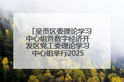 呈贡区委理论学习中心组暨数字经济开发区党工委理论学习中心组举行2025年第七次学习会议