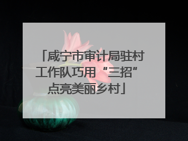 咸宁市审计局驻村工作队巧用“三招”点亮美丽乡村