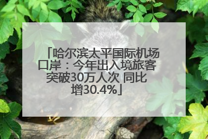 哈尔滨太平国际机场口岸：今年出入境旅客突破30万人次 同比增30.4%