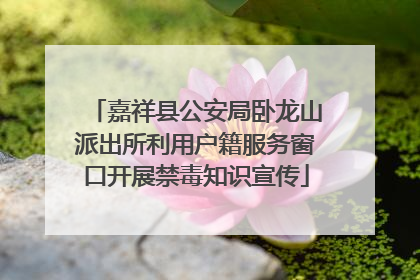 嘉祥县公安局卧龙山派出所利用户籍服务窗口开展禁毒知识宣传