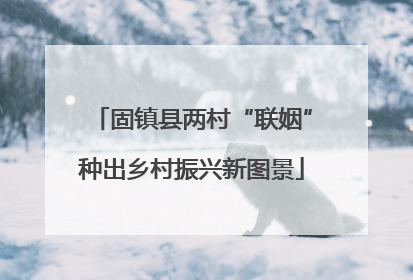 固镇县两村“联姻”种出乡村振兴新图景