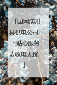 国网潢川县供电公司：贴心服务麦收电无忧