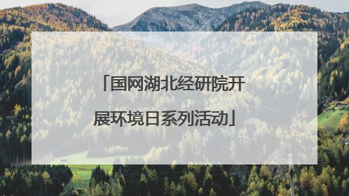 国网湖北经研院开展环境日系列活动