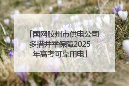国网胶州市供电公司多措并举保障2025年高考可靠用电