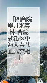 四合院里开米其林 合院式街区中海大吉巷正式亮相