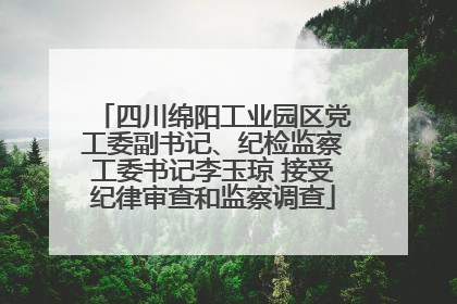 四川绵阳工业园区党工委副书记、纪检监察工委书记李玉琼 接受纪律审查和监察调查