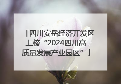 四川安岳经济开发区上榜“2024四川高质量发展产业园区”