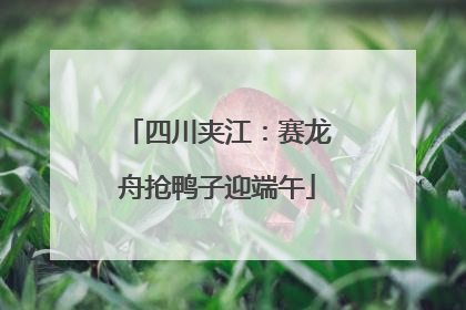四川夹江：赛龙舟抢鸭子迎端午