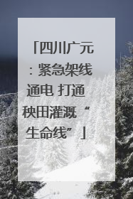 四川广元：紧急架线通电 打通秧田灌溉“生命线”