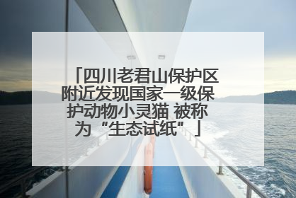 四川老君山保护区附近发现国家一级保护动物小灵猫 被称为“生态试纸”
