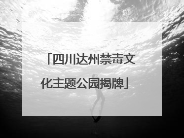 四川达州禁毒文化主题公园揭牌