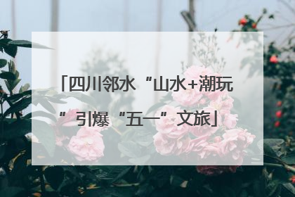 四川邻水“山水+潮玩”引爆“五一”文旅