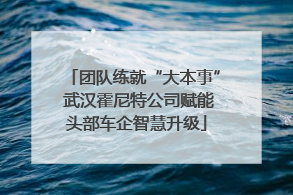 团队练就“大本事” 武汉霍尼特公司赋能头部车企智慧升级