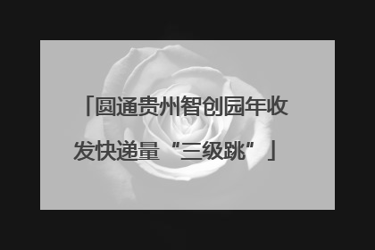 圆通贵州智创园年收发快递量“三级跳”