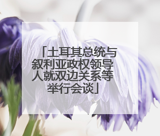 土耳其总统与叙利亚政权领导人就双边关系等举行会谈
