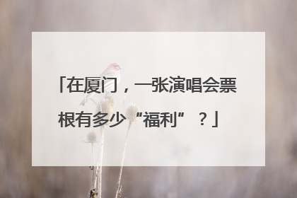 在厦门，一张演唱会票根有多少“福利”？