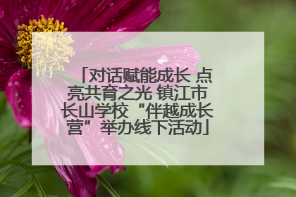 对话赋能成长 点亮共育之光 镇江市长山学校“伴越成长营”举办线下活动