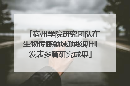 宿州学院研究团队在生物传感领域顶级期刊发表多篇研究成果