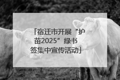 宿迁市开展“护苗2025”绿书签集中宣传活动