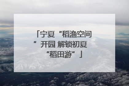宁夏“稻渔空间”开园 解锁初夏“稻田游”