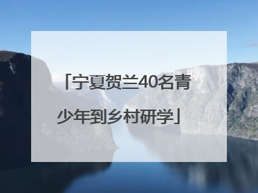 宁夏贺兰40名青少年到乡村研学