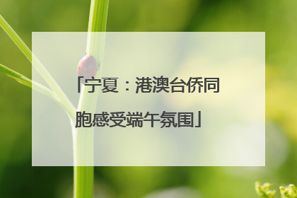 宁夏：港澳台侨同胞感受端午氛围