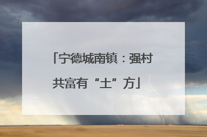 宁德城南镇：强村共富有“土”方