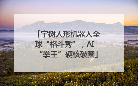 宇树人形机器人全球“格斗秀”，AI“拳王”硬核破圈