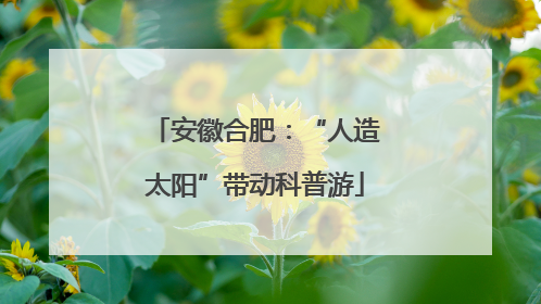 安徽合肥：“人造太阳”带动科普游