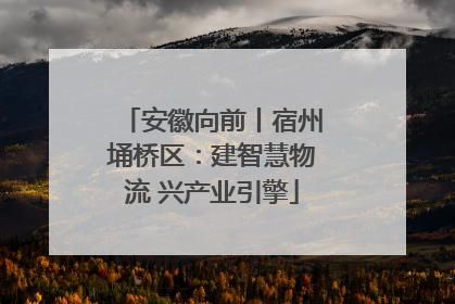 安徽向前丨宿州埇桥区：建智慧物流 兴产业引擎