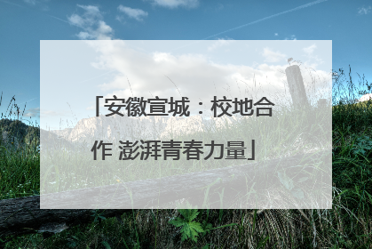 安徽宣城：校地合作 澎湃青春力量